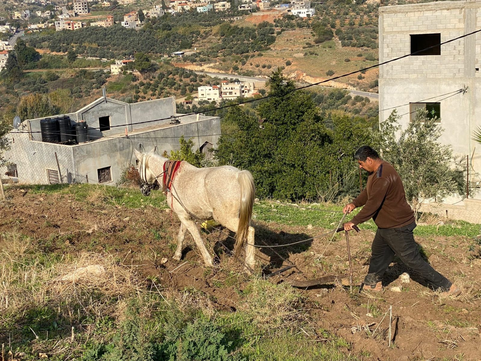 مصدر رزق للشباب
