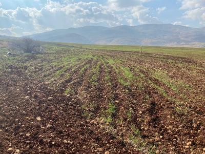 الأرض الطيبة